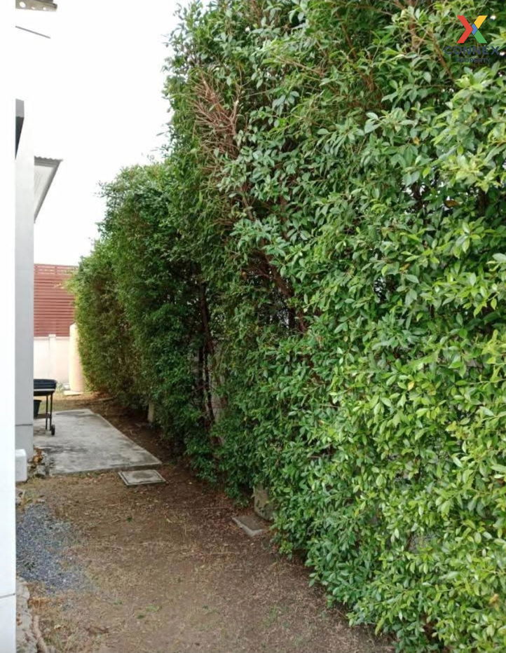 รูป เช่าบ้าน เดอะ เซนโทร รามอินทรา หน้ากว้าง คันนายาว เขต คันนายาว กรุงเทพ CX-137114 ✅ ทักไลน์ @connexproperty ตอบทันที ทีมงานมืออาชีพ ✅ - รูปที่ 12/12