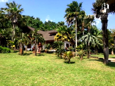 ที่ดิน สุราษฎร์ธานี : ขายด่วน รีสอร์ทส่วนตัว พร้อมสวนทุเรียนและมังคุด ท่าฉาง จ.สุราษฏร์ธานี 27ไร่ สุขสบายร่มรื่น