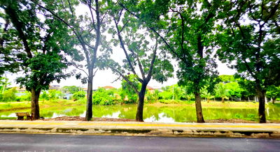 เช่าที่ดิน วิทยาลัยพยาบาลบรมราชชนนีบำราศนราดูร : ให้เช่า ที่ดิน Rare Location ริมบึงน้ำ–ถนนอุโมงค์ต้นไม้ ย่านประชาชื่น ใกล้ทางด่วนและรถไฟฟ้า