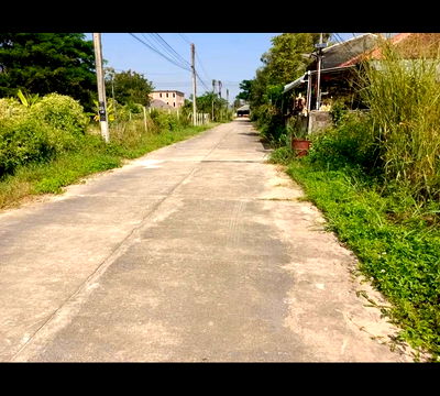 ที่ดิน บ้านข้างวัด : ขายที่ดิน ต.สุเทพ อ.เมืองเชียงใหม่. พื้นที่ 95ตรว. ขาย2.2ล้าน