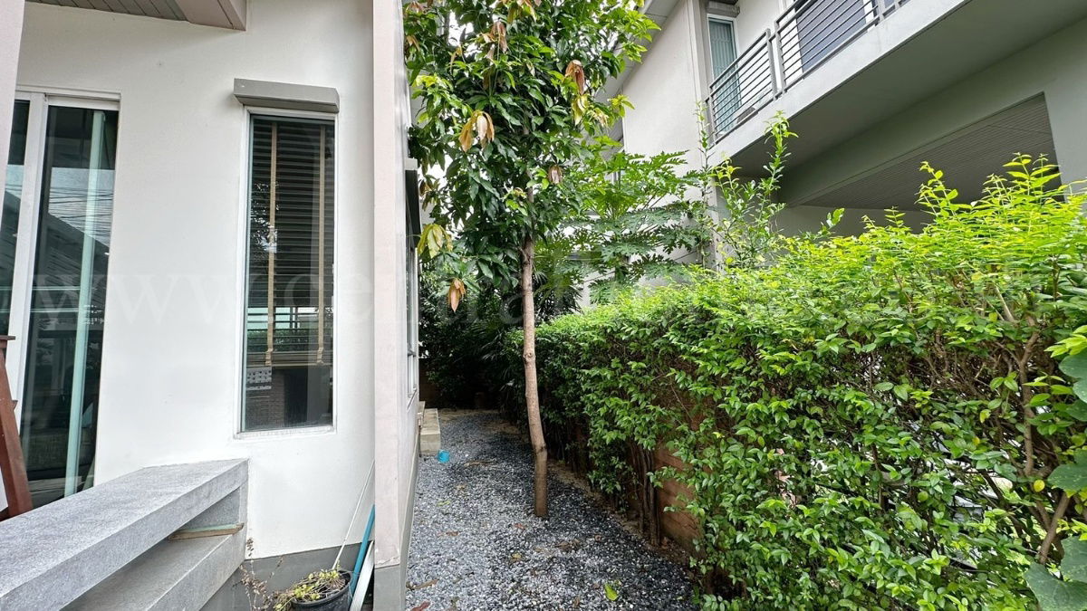 รูป บ้านเดี่ยว ฮาบิเทีย บอนด์ ราชพฤกษ์ เฟอร์ครบ ถนนเมน  - รูปที่ 4/16