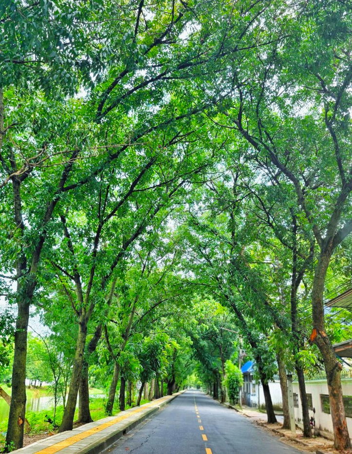 รูป ให้เช่า ที่ดิน Rare Location ริมบึงน้ำ–ถนนอุโมงค์ต้นไม้ ย่านประชาชื่น ใกล้ทางด่วนและรถไฟฟ้า - รูปที่ 3/5