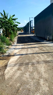 Land for rent Nong Yai Chonburi : Land for rent Land for rent Land for rent