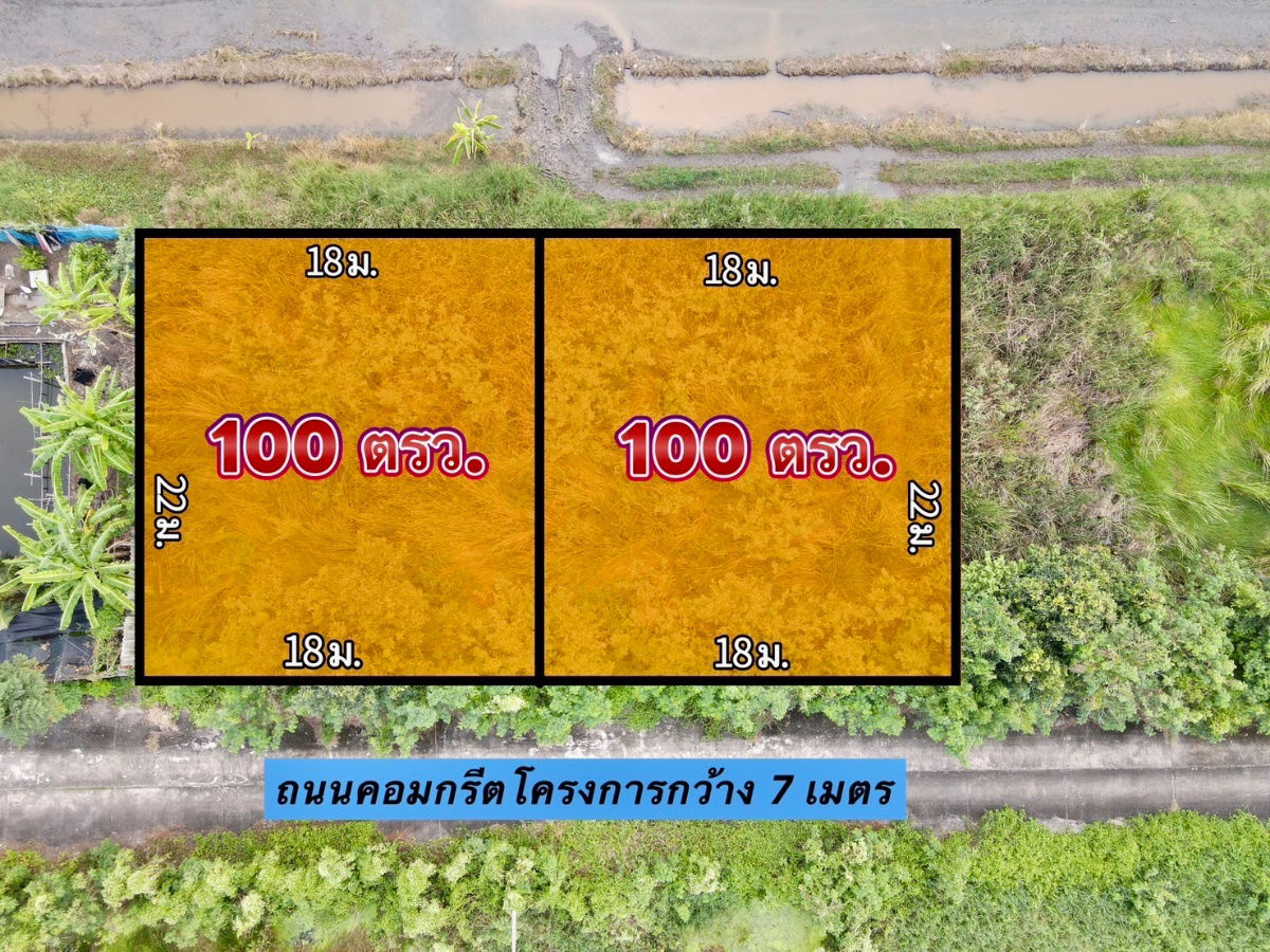 รูป ที่ดินแปลงเล็กเหมาะปลูกบ้านพักธรรมชาติสวยงาม คลอง11 - รูปที่ 4/4