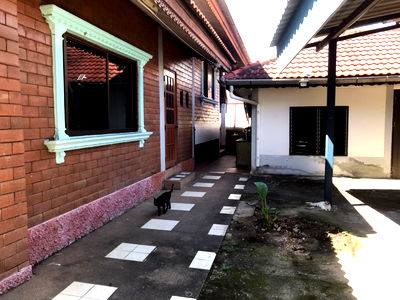 Houses for sale Hang Dong Chiang Mai : House for sale near the city, 8 km (Nong Kwai Subdistrict, Hang Dong District, Chiang Mai Province), area 132 sq m, selling price 4.5 million.