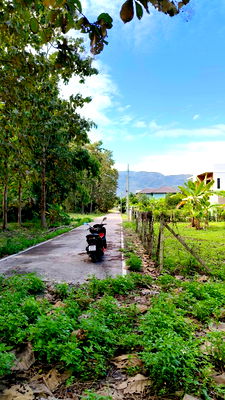 ที่ดิน เชียงใหม่ : ขายที่ดินตำบลสันผีเสื้อถนนคอนกรีตวิวดอยโฉนด