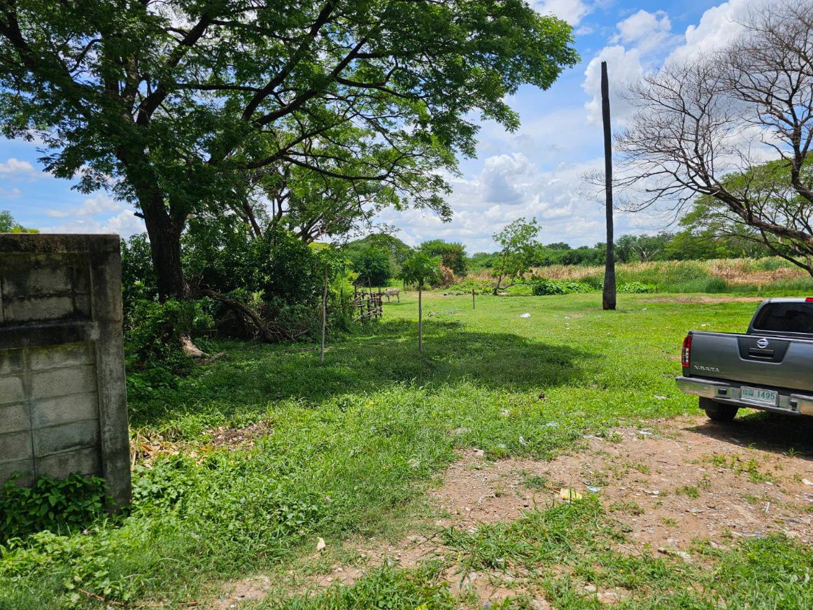 รูป ขายที่ดินทำเลดี แปลงสวย ตัวเมืองขอนแก่น เนื้อที่ 2 ไร่ 1 งาน 80 ตรว - รูปที่ 9/10