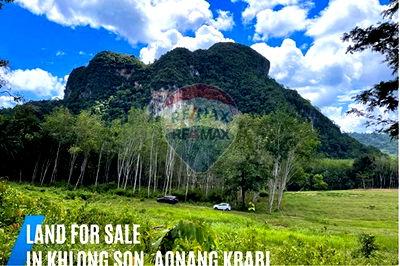 ที่ดิน อ่าวนาง : [920281015-722] Urgent Sale! Land with Mountain View