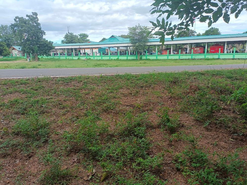 รูป ขายที่ดิน 9-2-13 ไร่ ติดถนน ทำบ้านจัดสรรได้ ติดเทศบาล ตำบลเนินขาม อ.เนินขาม จ.ชัยนาท ขายถูกสุดในย่านนี้ - รูปที่ 2/12