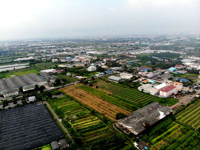 ที่ดิน วิทยาลัยเทคนิคราชสิทธาราม : AS002 ขายที่ดินสร้างโรงงาน ขนาด 8 ไร่กว่า ใกล้ถนนตัดใหม่ (สีม่วง) ที่สวยติดถนนติดคลองด้านหน้า ถนนกว้างขวางเดินทางสะดวก 