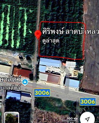 ที่ดิน ลาดบัวหลวง พระนครศรีอยุธยา : ขายที่ดิน  ลาดบัวหลวง ติดถนน 3006 ทำเลดี  เจ้าของขายเอง