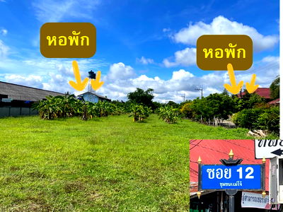 Land for sale San Sai Chiang Mai : Land for Sale – Filled Corner Plot, Mae Jo Prime Location