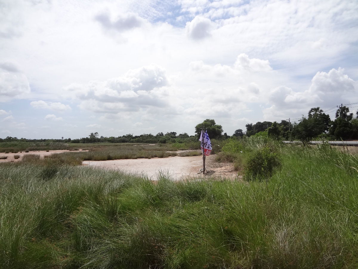 รูป ที่ดินด่านนอกด่านขุนทด นครราชสีมาติดถนนคอนกรีตทางหลวง2148ด่านขุนทด-หนองสรวจ พื้นที่24ไร่+เยื้องแยกละเลิงพิมานใก้ลบิ๊กซี,โลตัสเหมาะทำรีสอร์ท,ปั๊มน้ำมัน - รูปที่ 5/11