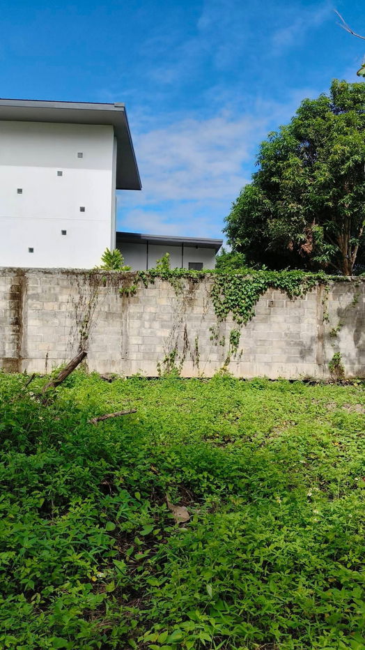 รูป ขายที่ดินตำบลสันผีเสื้อถนนคอนกรีตวิวดอยโฉนด - รูปที่ 4/15