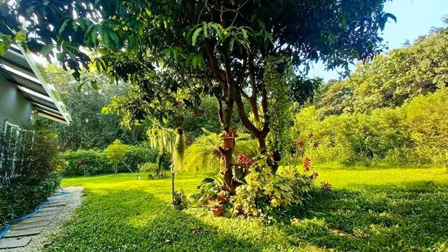 รูป จัดเต็มเฟอร์ฯ แปลงยาว ฉะเชิงเทรา ให้เช่าบ้านรีสอร์ทสุดหรู 302ตร.วา. 902ตร.ม. รร.วัดหัวสำโรง 1.6 กม. พร้อมพื้นที่สวนขนาดเล็ก - รูปที่ 2/8