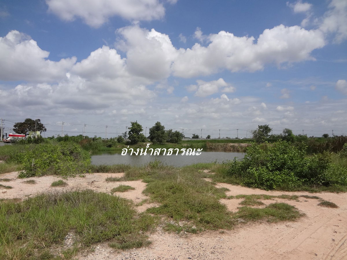 รูป ที่ดินด่านนอกด่านขุนทด นครราชสีมาติดถนนคอนกรีตทางหลวง2148ด่านขุนทด-หนองสรวจ พื้นที่24ไร่+เยื้องแยกละเลิงพิมานใก้ลบิ๊กซี,โลตัสเหมาะทำรีสอร์ท,ปั๊มน้ำมัน - รูปที่ 4/11