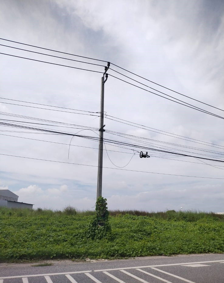 รูป ขายที่สีม่วง 24 ไร่ ติดถนนใหญ่ ต.มาบข่า อ.นิคมพัฒนา จ.ระยอง - รูปที่ 2/2