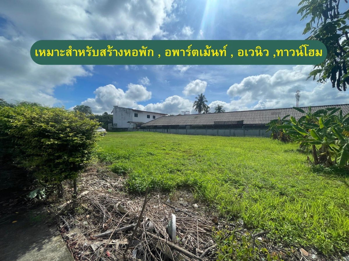 picture Land for Sale – Filled Corner Plot, Mae Jo Prime Location - 4/10