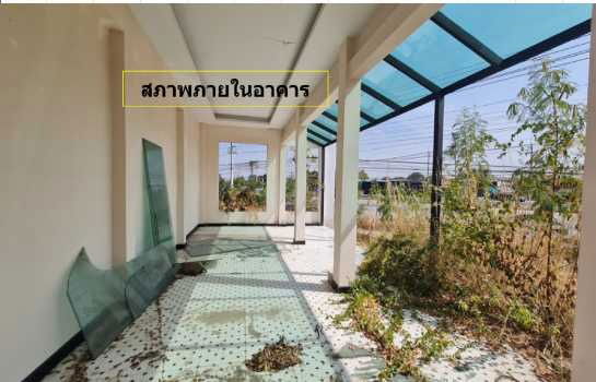 รูป ขาย ที่ดิน ถนนมิตรภาพ กม.173-450 ต.ดอนหวาย อ.โนนสูง นครราชสีมา ทำเลการค้าและอุตสาหกรรม 2 ไร่ 2 งาน 14 ตรว ผังเมืองพื้นที่สีเขียว - รูปที่ 11/12