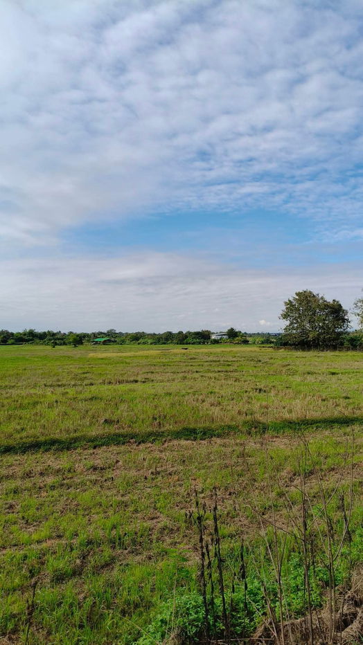 รูป ขายที่ดินติดถนนหลักแถวดอยสะเก็ตโฉนดพร้อมโอน - รูปที่ 2/11