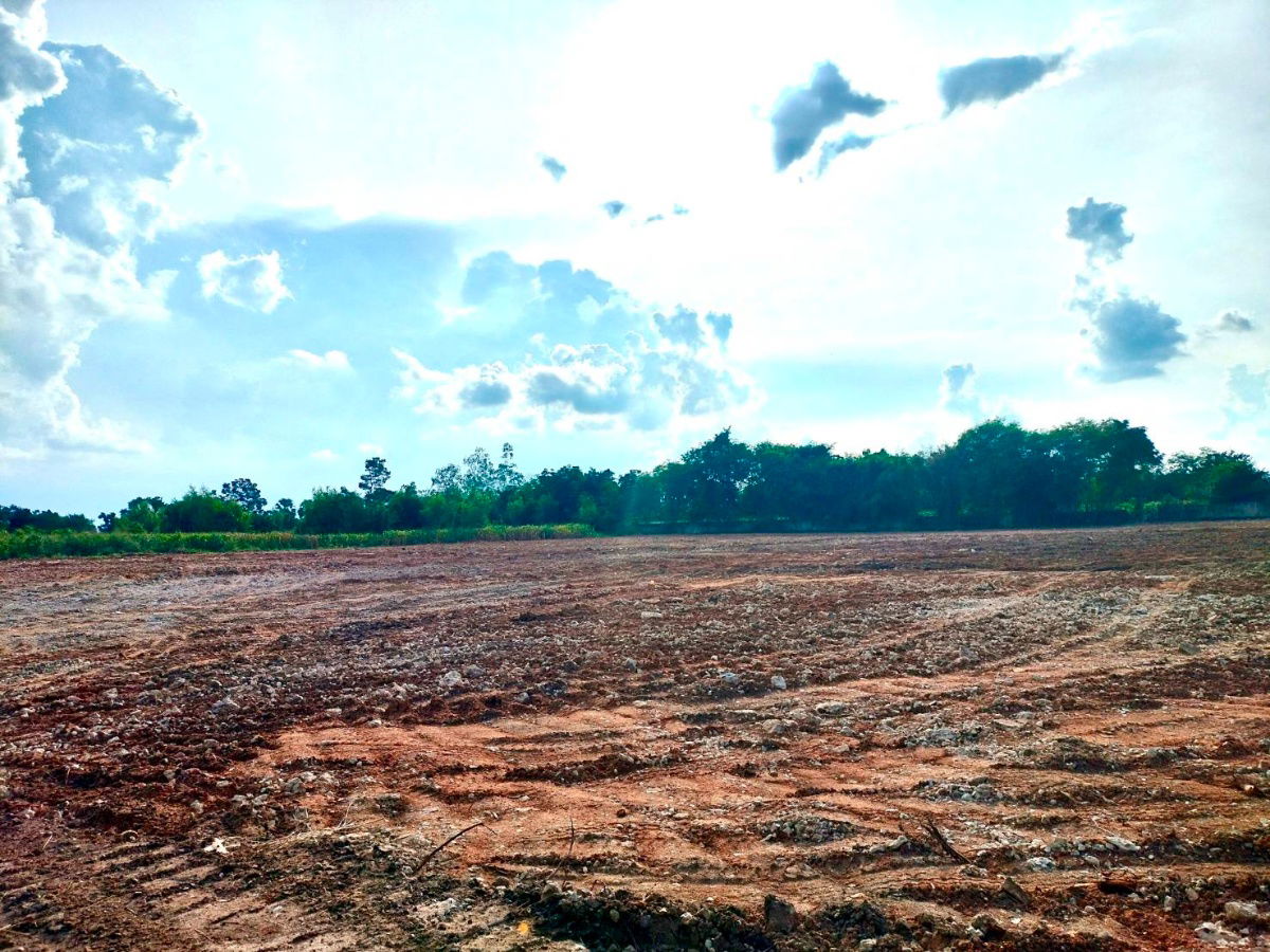 รูป ที่ดินเมืองนครราชสีมา อ.สีคิ้ว ติดถนนมิตรภาพ 51 ไร่62 ตร.วา หน้ากว้าง 86 ม. ผังเมืองสีชมพู - รูปที่ 6/7