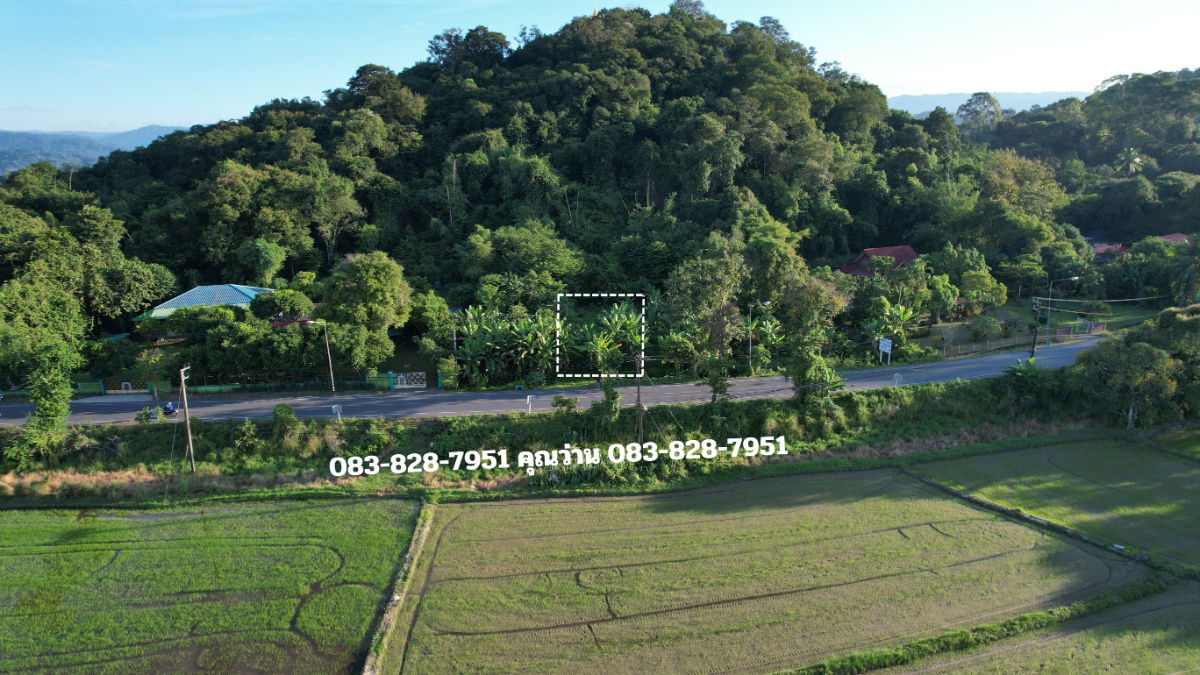 รูป ขายที่ดินลาดเชิงเขา เนื้อที่ 142 ตารางวา มีโฉนด ติดถนนหลวง ขายพร้อมโอน 950000 - รูปที่ 10/30