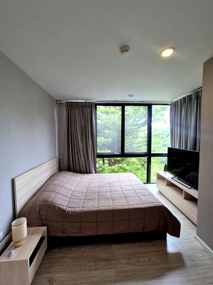 Condos for rent 700 Year Sports Arena Chiang Mai : Condo for rent: Plamspring Arika In the heart of Nimman, convenient for all travel