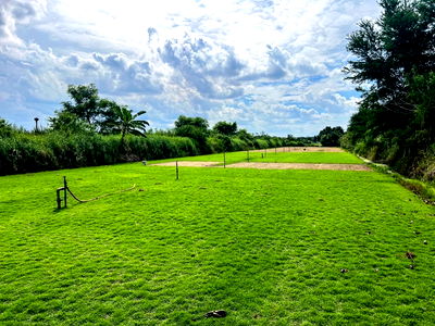 ที่ดิน ปทุมธานี : 🎉 ด่วนที่สุด! ที่ดินราคาถูก คลอง12 หนองเสือ ปทุมธานี รังสิต-นครนายก แปลงสวย ราคาพิเศษที่สุดในย่านนี้ ใกล้ถนนใหญ่ บรรยากาศดี ในชุมชน