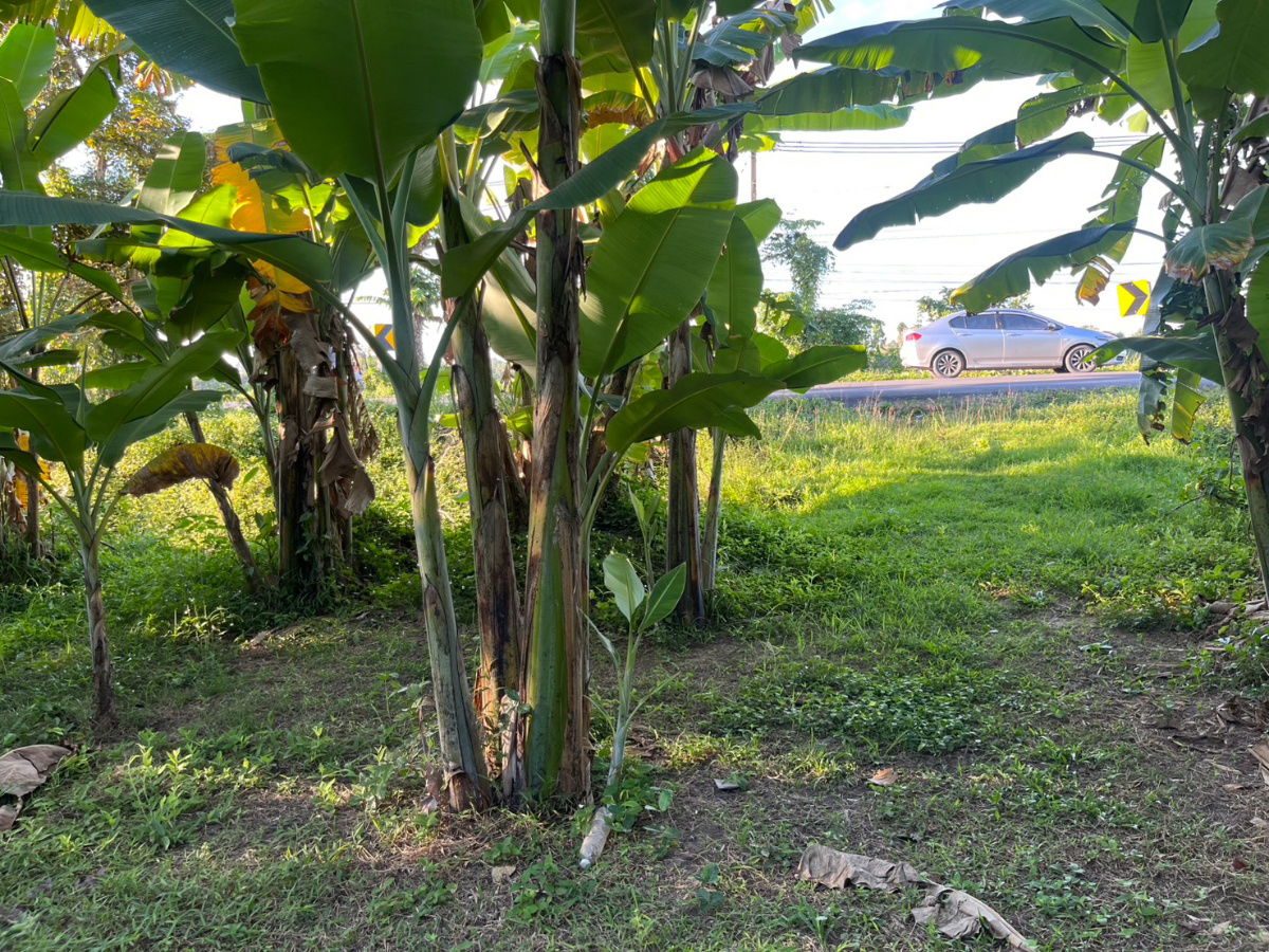 รูป ขายที่ดินลาดเชิงเขา เนื้อที่ 142 ตารางวา มีโฉนด ติดถนนหลวง ขายพร้อมโอน 950000 - รูปที่ 21/30