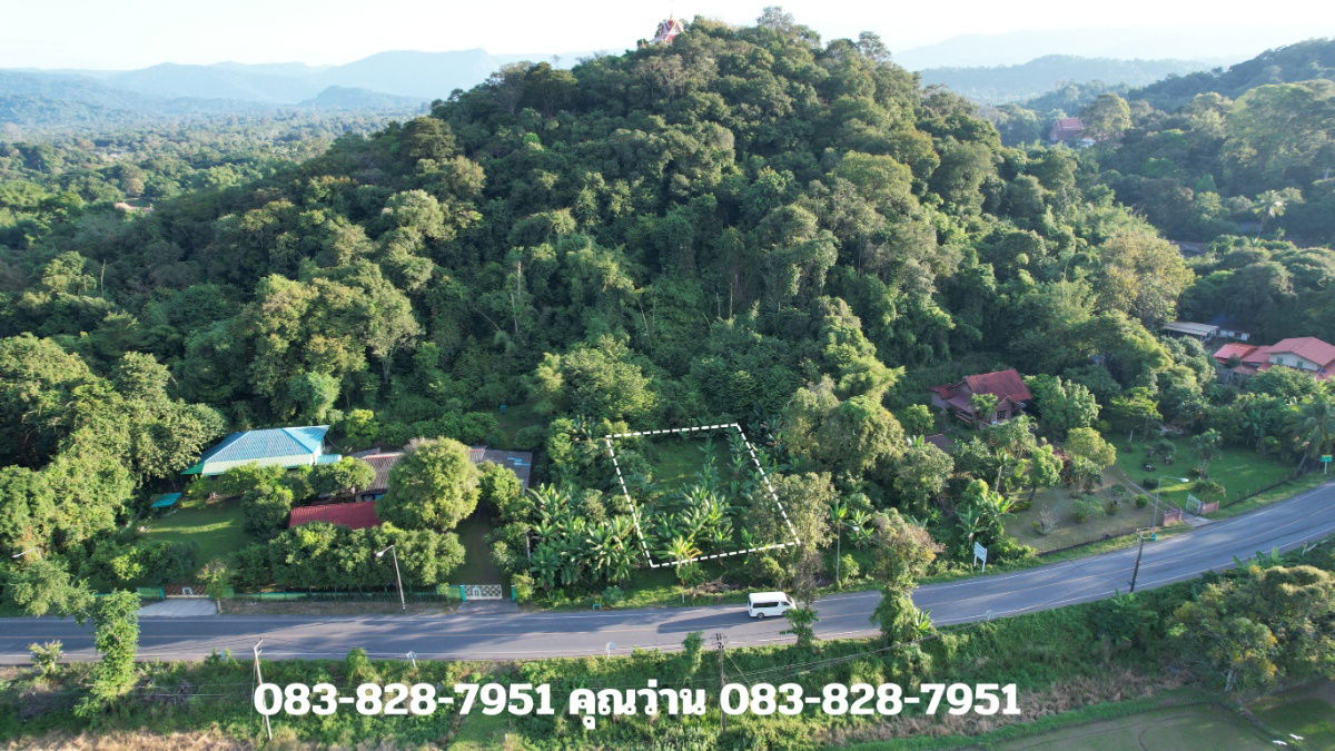 รูป ขายที่ดินลาดเชิงเขา เนื้อที่ 142 ตารางวา มีโฉนด ติดถนนหลวง ขายพร้อมโอน 950000 - รูปที่ 3/30