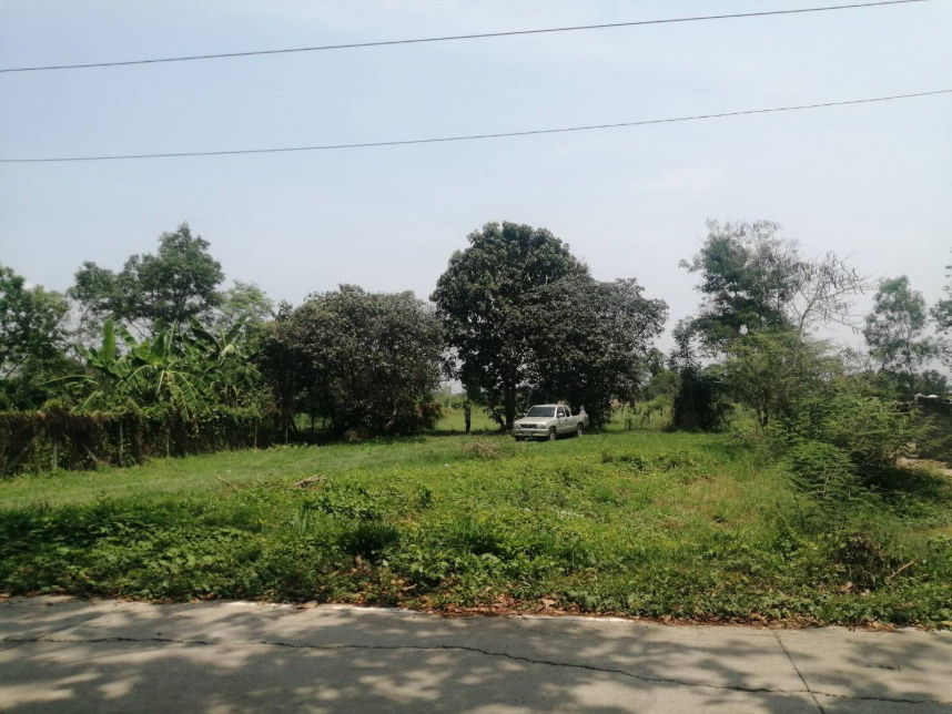 รูป ขายที่ดินถมแล้ว 200 ตารางวา หน้ากว้าง 20 เมตร ถนนคอนกรีต อ.บ้านนา นครนายก - รูปที่ 6/8