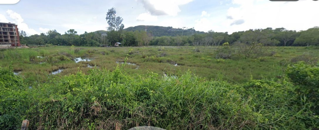 รูป ขายที่ดินแปลงสวยใกล้หาดลายัน จังหวัดภูเก็ตพื้นที่ 24-2-35.3 ไร่ - รูปที่ 5/8