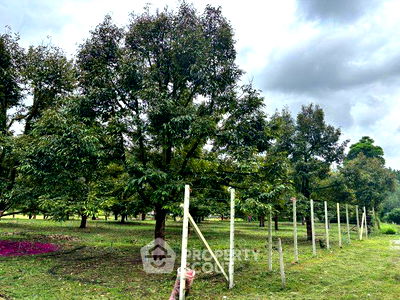 Land for sale Wiang Sa Surat Thani : 7,257.2 m² Land for Sale in Ban Song (ID 2432962)