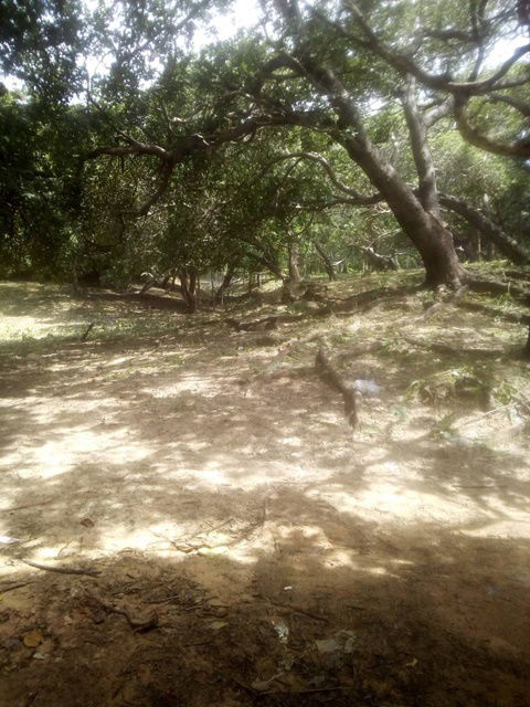 picture AS004 Land for sale, next to the sea, area 53 rai, with private beach, clear water, white sand beach, natural waterfall and private fresh - 3/4