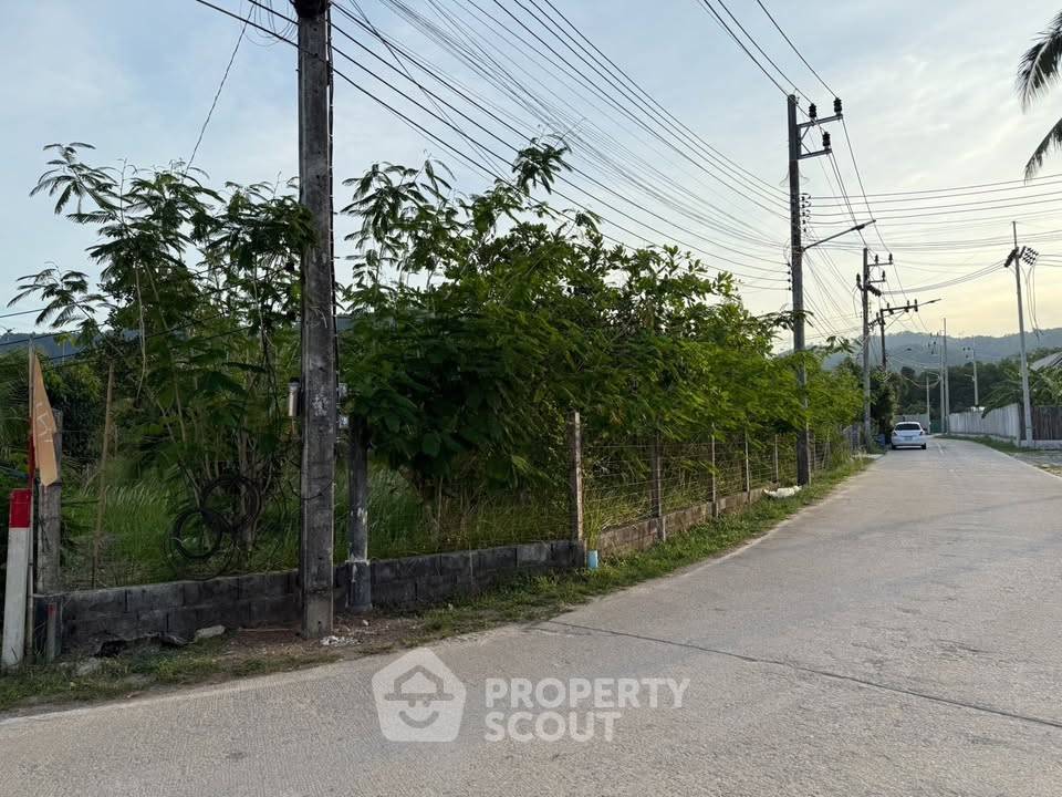 รูป ที่ดินสำหรับปล่อยขาย 6,968 ตารางเมตร แถว ใน ถลาง (ID 2440082) - รูปที่ 3/3