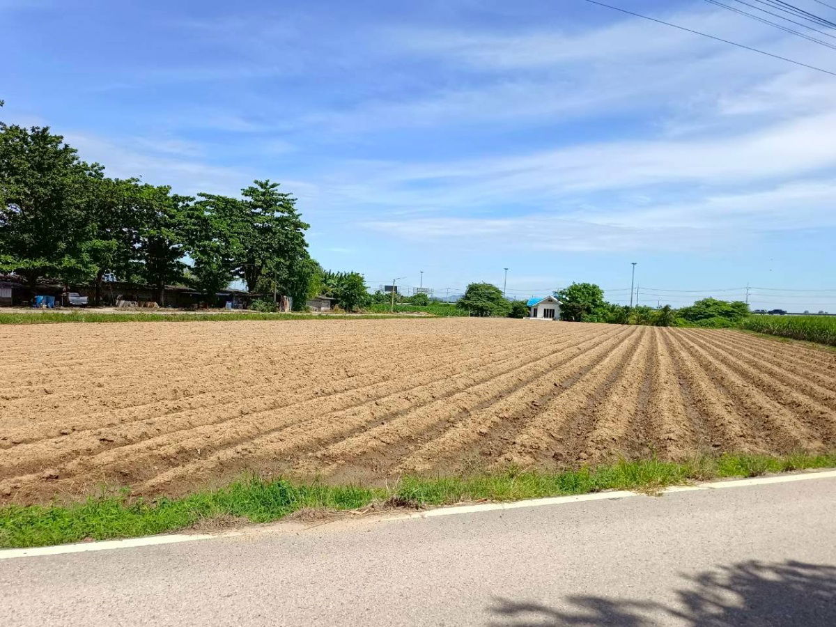 รูป 🌟 ขายที่ดินเปล่า 2 ไร่ ทำเลศักยภาพสูง ใกล้มอเตอร์เวย์ M81 บางใหญ่–กาญจนบุรี 🌟 - รูปที่ 1/5