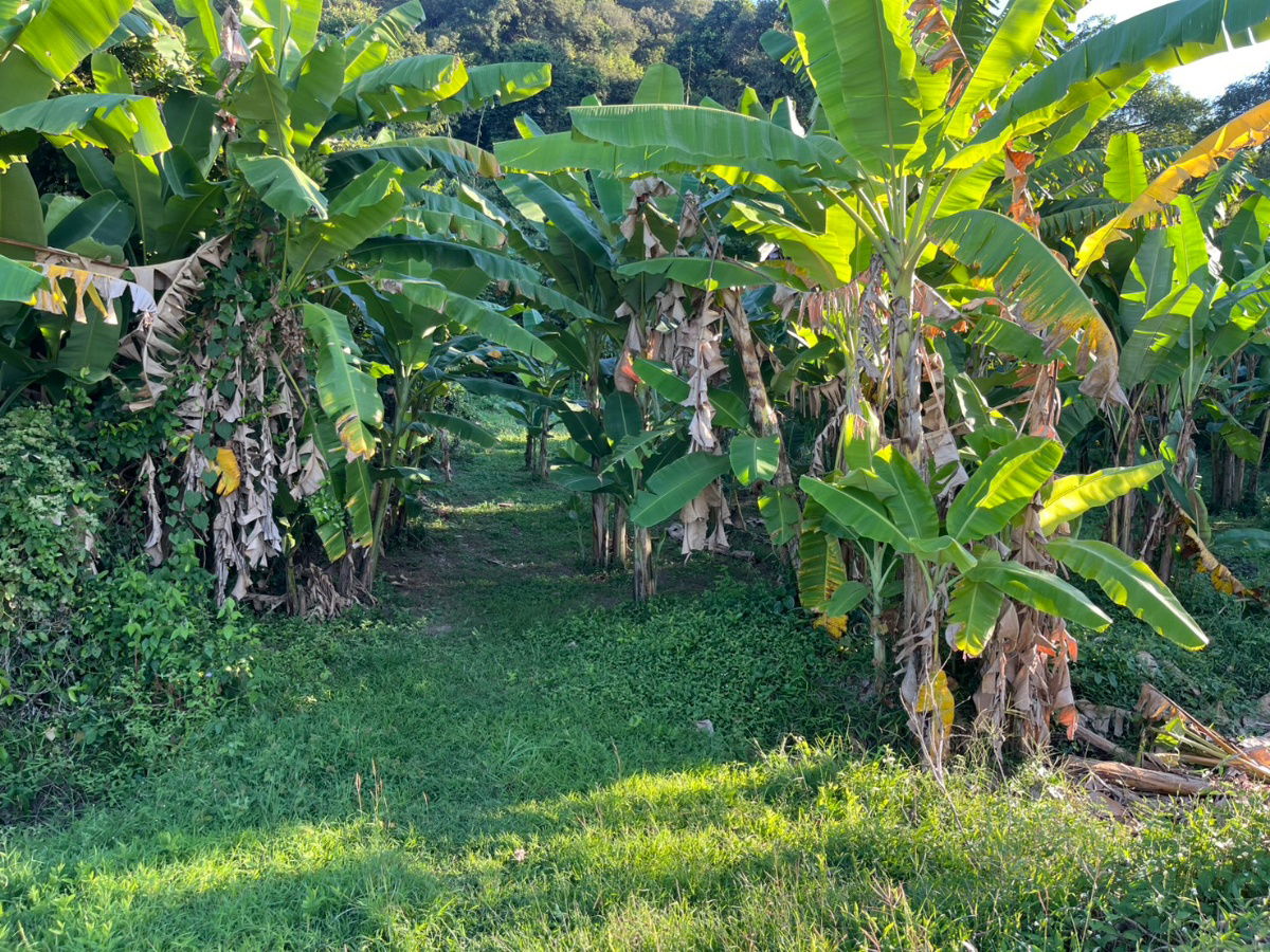 รูป ขายที่ดินลาดเชิงเขา เนื้อที่ 142 ตารางวา มีโฉนด ติดถนนหลวง ขายพร้อมโอน 950000 - รูปที่ 14/30