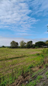 ขายที่ดินติดถนนหลักแถวดอยสะเก็ตโฉนดพร้อมโอน