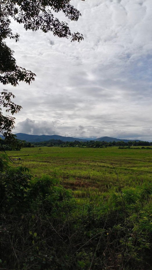 รูป ขายที่ดินติดถนนหลักแถวดอยสะเก็ตโฉนดพร้อมโอน - รูปที่ 9/11