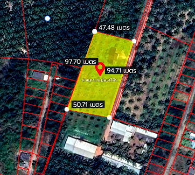 ที่ดิน สุราษฎร์ธานี : เจ้าของขายเอง ขายด่วน! บ้านเดี่ยวพร้อมสวนทุเรียนที่ดูแลอย่างดี ราคาเพียง 3 ล้านบาท เท่านั้น! เนื้อที่ 2-3-54 ไร่ ต.ทุ่งกง กาญจนดิษฐ์ สุราษฎร์ธานี