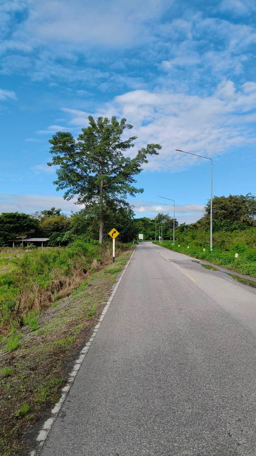 รูป ขายที่ดินติดถนนหลักแถวดอยสะเก็ตโฉนดพร้อมโอน - รูปที่ 5/11