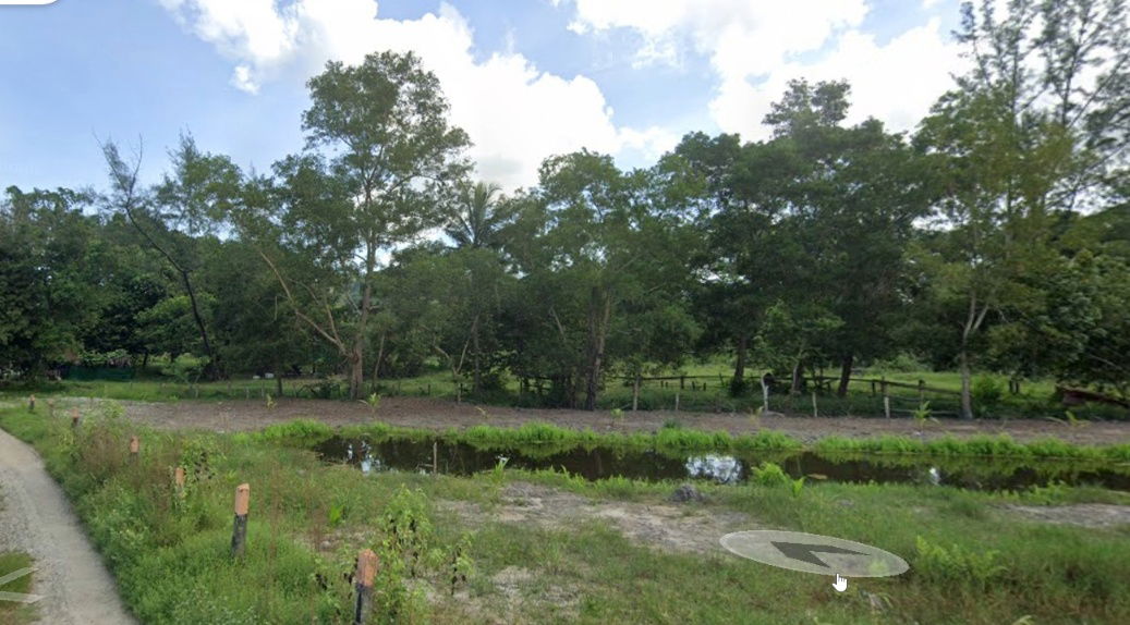 รูป ขายที่ดินแปลงสวยใกล้หาดลายัน จังหวัดภูเก็ตพื้นที่ 24-2-35.3 ไร่ - รูปที่ 6/8