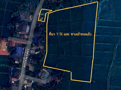 Land for sale Doi Saket Chiang Mai  : Fertile Rice Field for Sale – With Tenant | Peaceful Location in Doi Saket, Chiang Mai