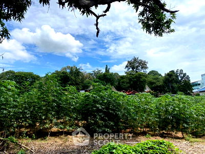 ที่ดิน แหลมฉบัง : ที่ดินสำหรับปล่อยขาย 2,252 ตารางเมตร แถว ใกล้ แหลมฉบัง (ID 1333421)