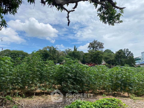 ที่ดินสำหรับปล่อยขาย 2,252 ตารางเมตร แถว ใกล้ แหลมฉบัง (ID 1333421)