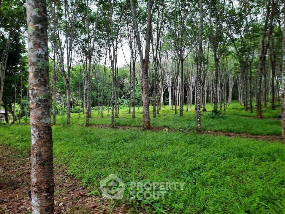 รูป ที่ดินสำหรับปล่อยขาย 5,965.2 ตารางเมตร แถว ใน ถลาง (ID 1558625) - รูปที่ 4/4