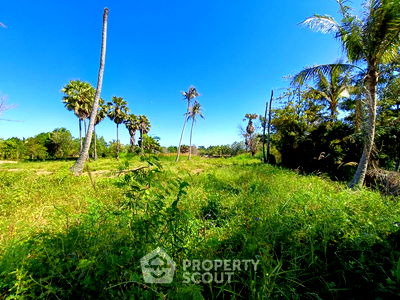 ที่ดิน ปราณบุรี ประจวบคีรีขันธ์ : ที่ดินสำหรับปล่อยขาย 5,008 ตารางเมตร แถว ใน ปราณบุรี (ID 1407233)