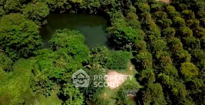 ที่ดิน ถนนมหาราช : ที่ดินสำหรับปล่อยขาย 28,716 ตารางเมตร แถว ใกล้ บางลําพู (ID 1648086)