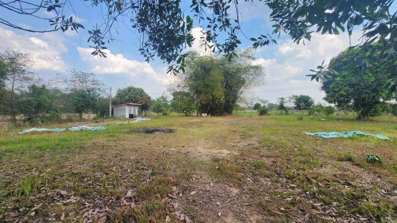 picture Land for Sale in Pak Phli District, Nakhon Nayok Size: 4 Rai 41.9 Sq.W. Road frontage: It is located on Highway 3288. 68 meters | Depth: 134 meters - 12/12