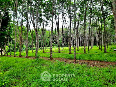 ที่ดิน โบ๊ท ลากูน ภูเก็ต : ที่ดินสำหรับปล่อยขาย 5,965.2 ตารางเมตร แถว ใน ถลาง (ID 1558625)